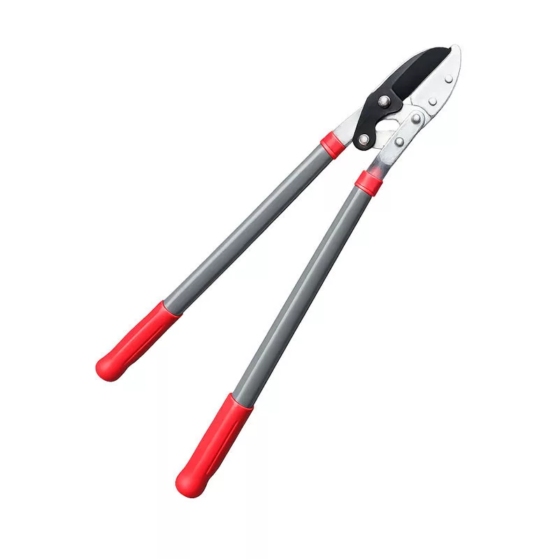 barkacsoazis-4370162