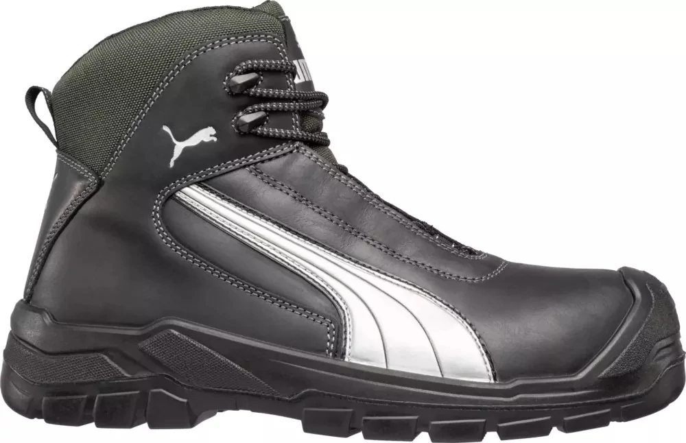 berb-4388441