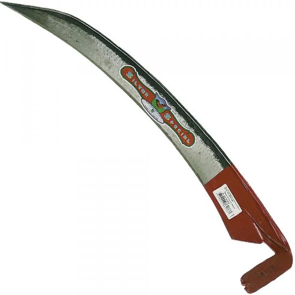 berb-4458596