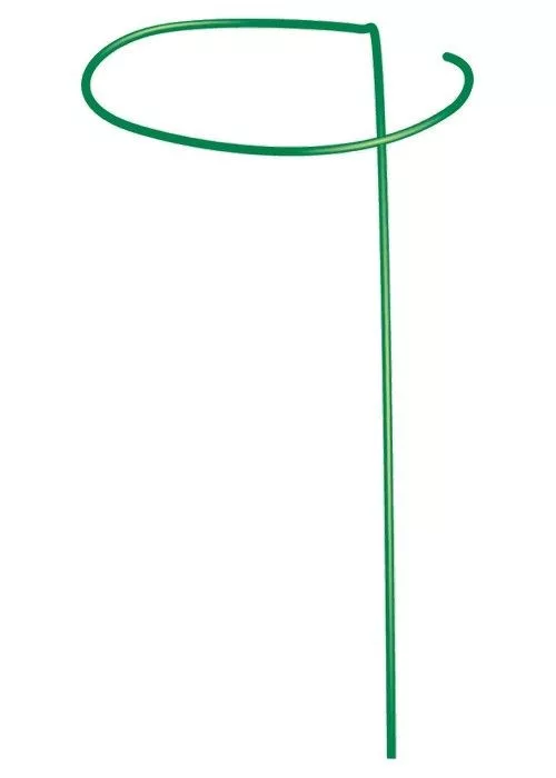 jooszerszam-4486309