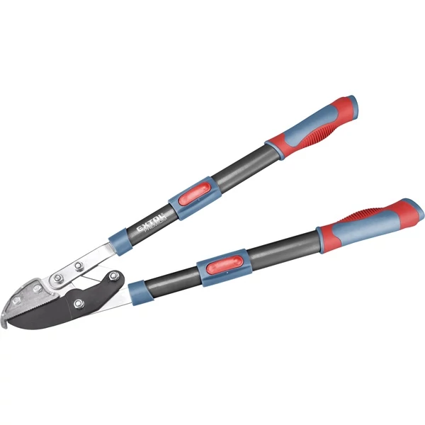 lubeka-kert-4427035