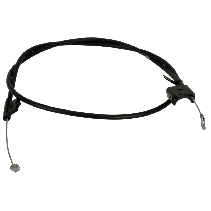 lubeka-kert-4436275