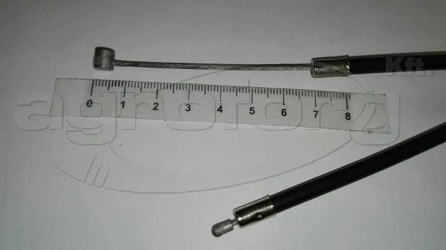 lubeka-kert-4436520