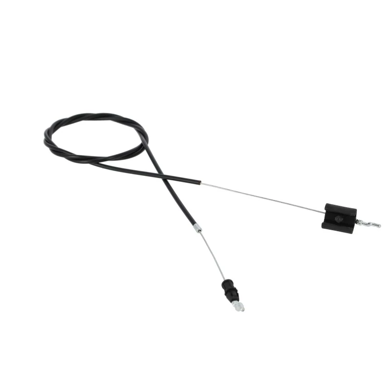 lubeka-kert-4449135