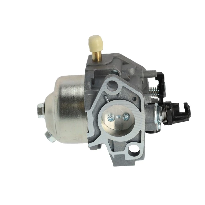 lubeka-kert-4462651