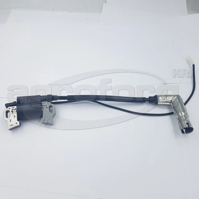 lubeka-kert-4462972