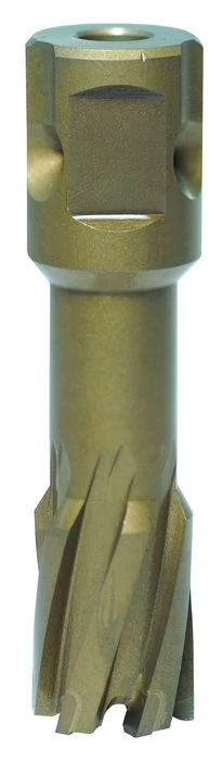 optiweb-4422120