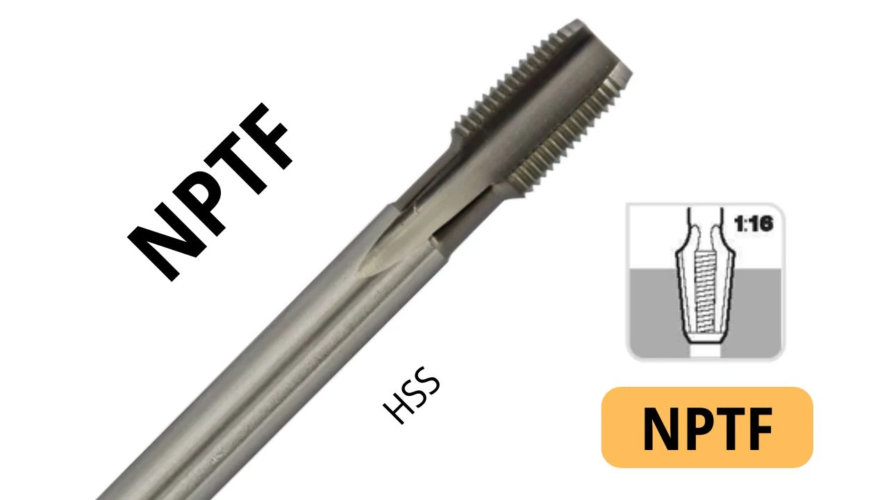 perfor-4340017