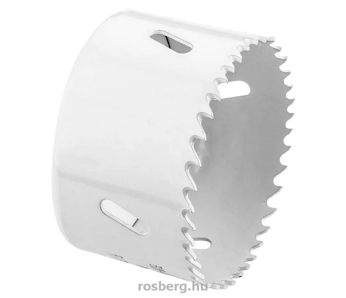 rosberg-4431281
