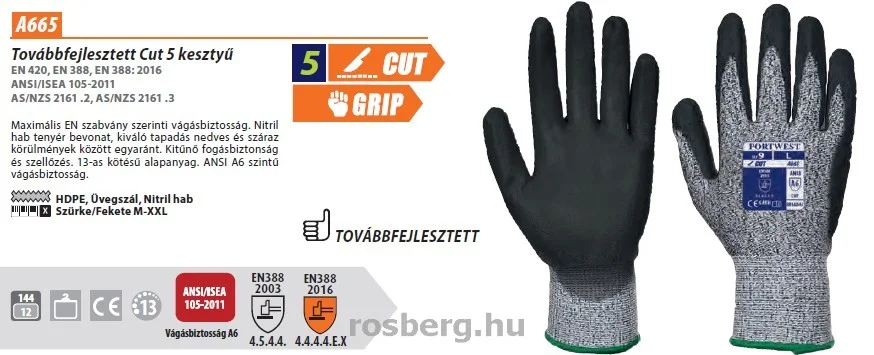rosberg-4462037