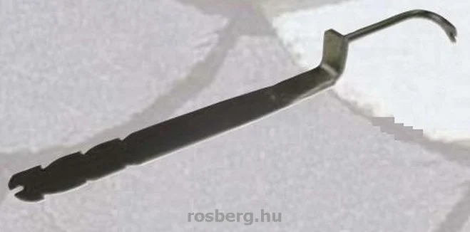 rosberg-4467478