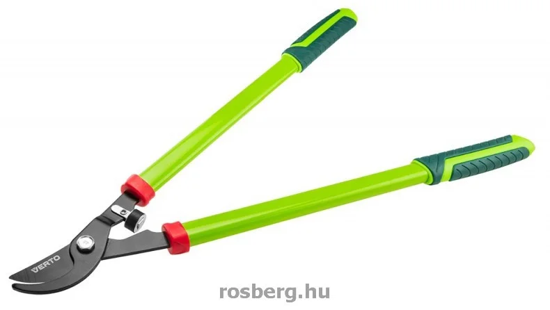 rosberg-4485213