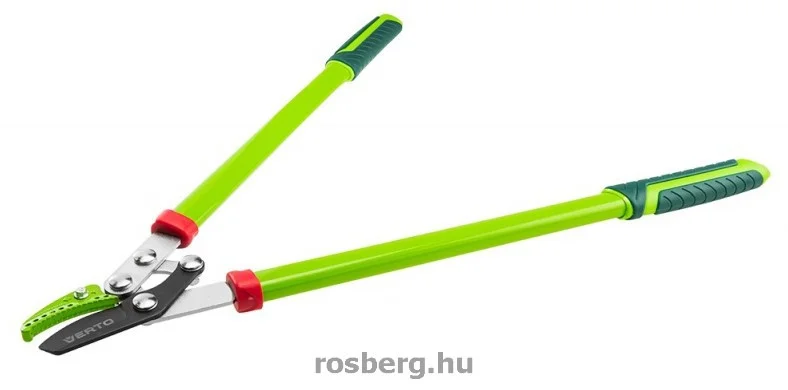 rosberg-4485225
