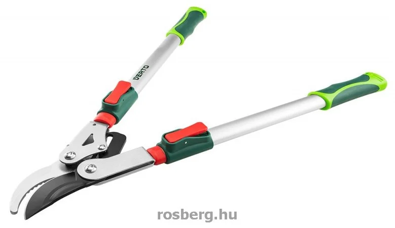 rosberg-4485311