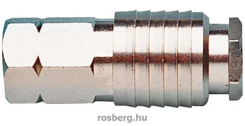 rosberg-4493483