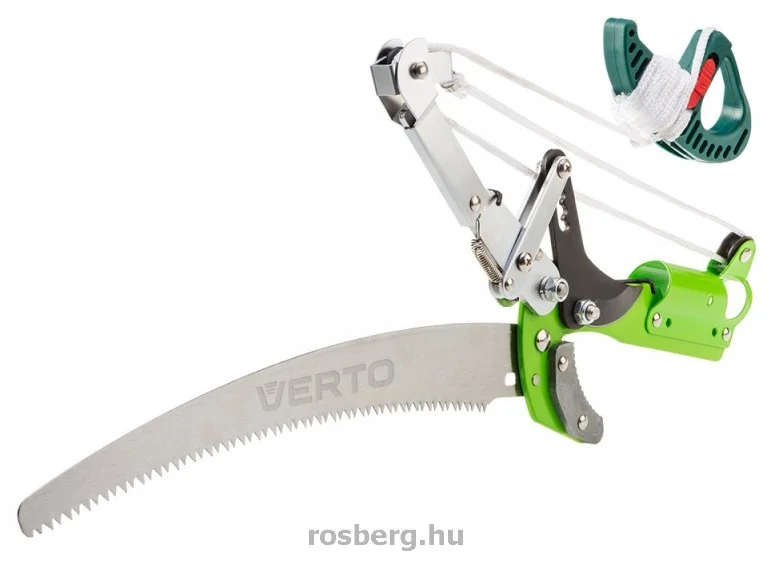 rosberg-4501343