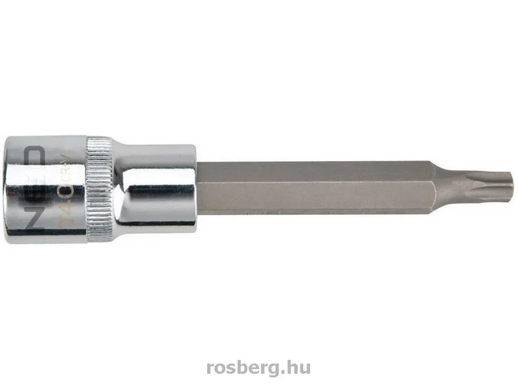 rosberg-4516036