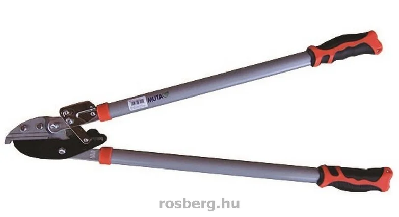 rosberg-4517178