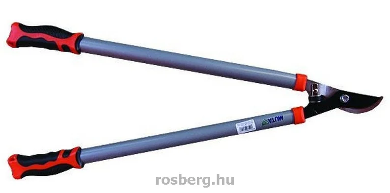 rosberg-4517186