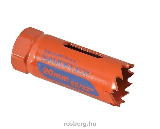 rosberg-4530529